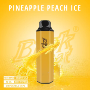 Brisk Bar Pineapple Peach ICE 5000 Puffs