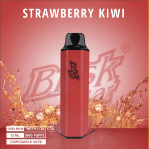 Brisk Bar Strawberry Kiwi 5000 Puffs