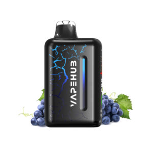 Vapehub Ultra Blueberry Blast Storm 20000 Puffs