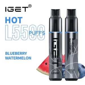 IGET Hot Blueberry Watermelin 5500 Puffs