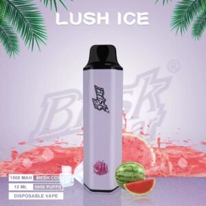 Brisk Bar Lush ICE 5000 Puffs