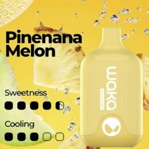 Waka Smash Pineapple Melon 6000 Puffs