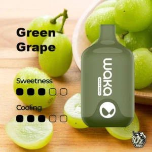 Waka Smash Green Grape 6000 Puffs