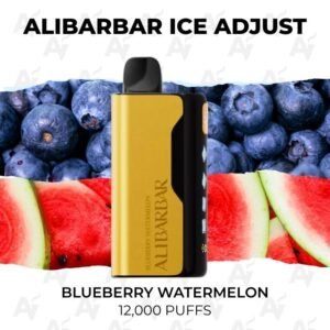 Alibarbar Ice Adjust Blueberry Watermelon 12000 Puffs
