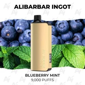 Alibarbar Ingot Blueberry Mint 9000 Puffs