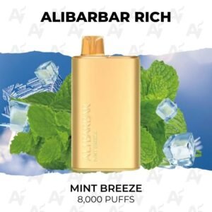Alibarbar Rich Mint Breeze 8000 Puffs