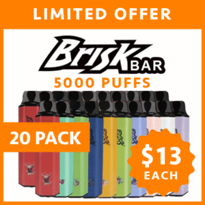 20 Pack Brisk Bar 5000 Puffs