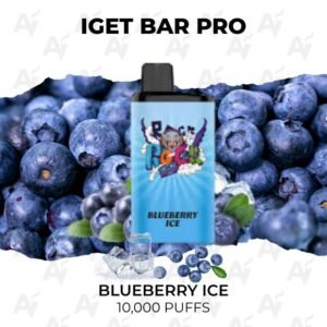 IGET Bar Pro Blueberry Ice 10000 Puffs
