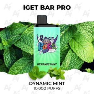 IGET Bar Pro Dynamic Mint 10000 Puffs
