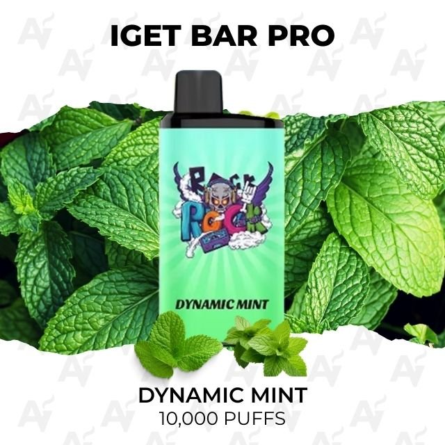iget bar pro dynamic mint 10000 puffs IGET Bar Pro Dynamic Mint 10000 Puffs