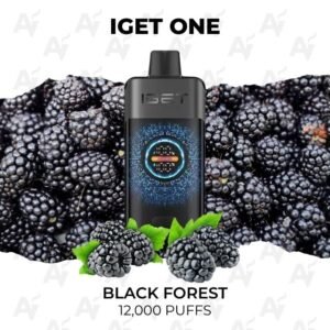 IGET One Black Forest 12000 Puffs