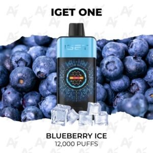 IGET One Blueberry Ice 12000 Puffs