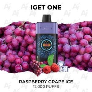 IGET One Raspberry Grape Ice 12000 Puffs