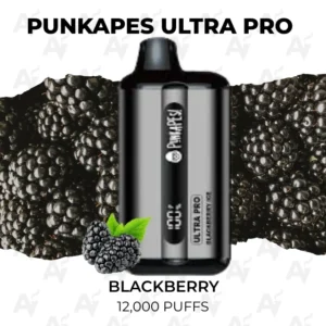 Punkapes Ultra Pro Blackberry 12000 Puffs