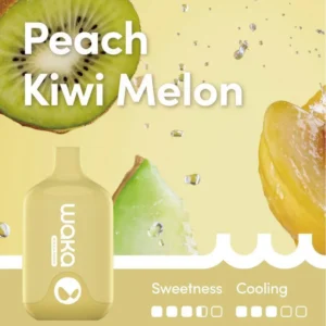 Waka Smash Peach Kiwi Melon 6000 Puffs