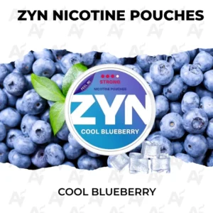 ZYN Cool Blueberry Nicotine Pouches